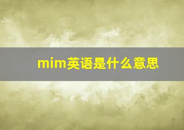 mim英语是什么意思