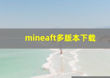 mineaft多版本下载