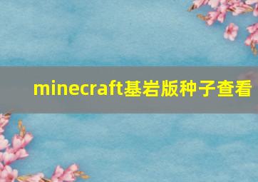 minecraft基岩版种子查看