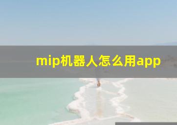 mip机器人怎么用app