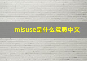 misuse是什么意思中文