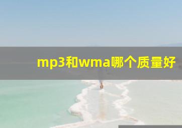 mp3和wma哪个质量好