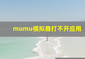 mumu模拟器打不开应用