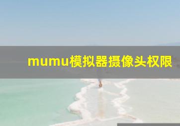 mumu模拟器摄像头权限