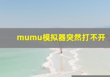 mumu模拟器突然打不开