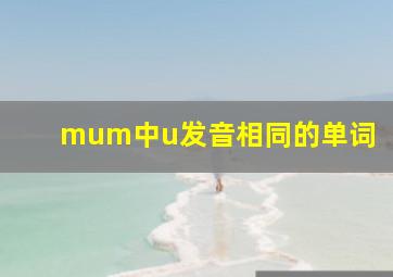 mum中u发音相同的单词