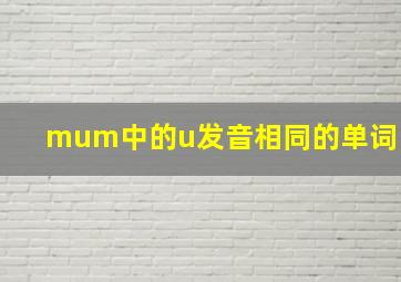 mum中的u发音相同的单词