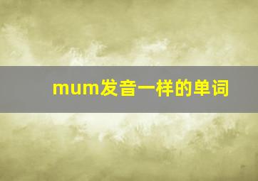 mum发音一样的单词