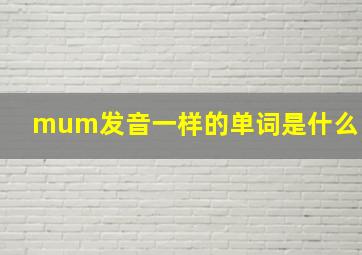 mum发音一样的单词是什么