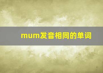 mum发音相同的单词