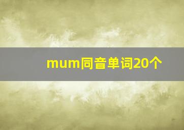 mum同音单词20个