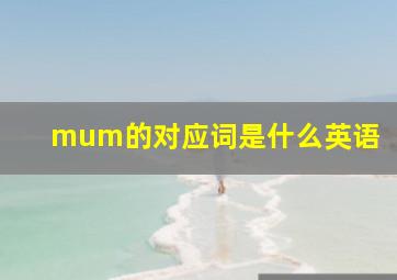 mum的对应词是什么英语