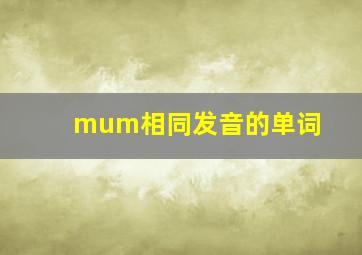 mum相同发音的单词