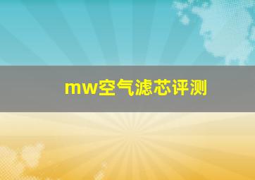 mw空气滤芯评测