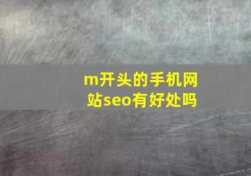 m开头的手机网站seo有好处吗