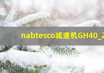 nabtesco减速机GH40_21