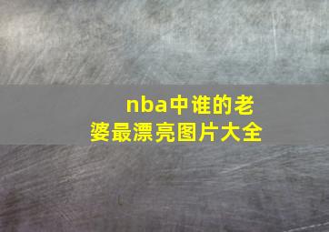 nba中谁的老婆最漂亮图片大全