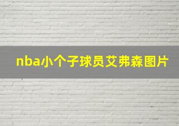 nba小个子球员艾弗森图片