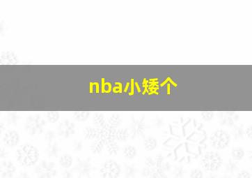 nba小矮个