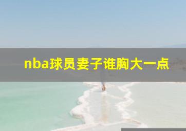 nba球员妻子谁胸大一点