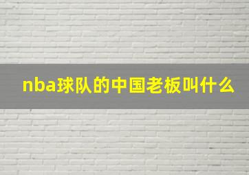 nba球队的中国老板叫什么