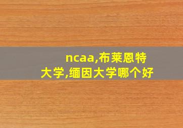 ncaa,布莱恩特大学,缅因大学哪个好