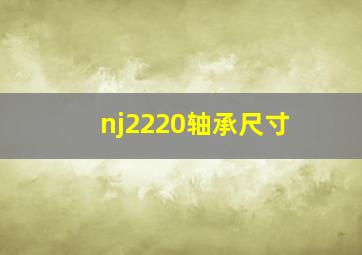 nj2220轴承尺寸