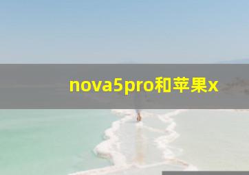 nova5pro和苹果x