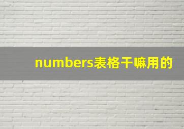 numbers表格干嘛用的