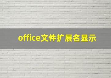 office文件扩展名显示