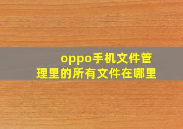 oppo手机文件管理里的所有文件在哪里