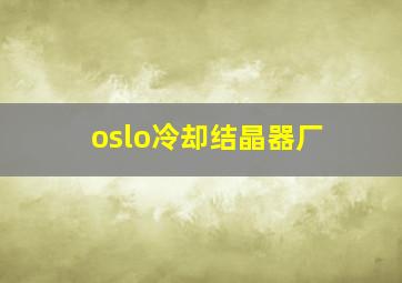 oslo冷却结晶器厂