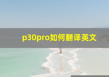 p30pro如何翻译英文