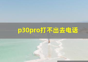 p30pro打不出去电话