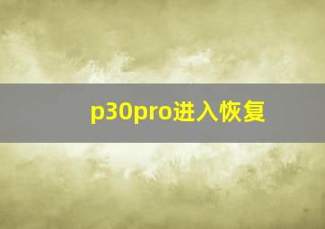 p30pro进入恢复