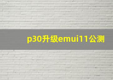 p30升级emui11公测