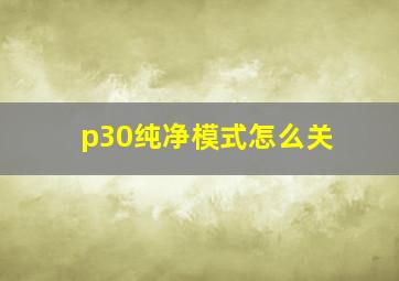 p30纯净模式怎么关