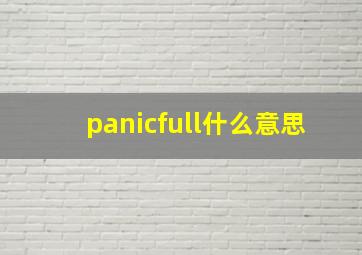 panicfull什么意思