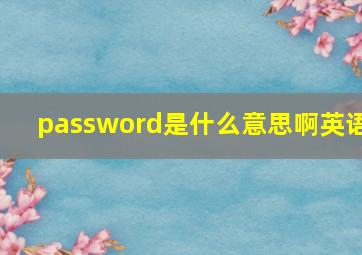 password是什么意思啊英语