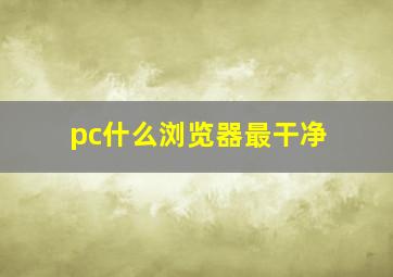 pc什么浏览器最干净