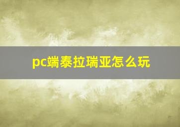 pc端泰拉瑞亚怎么玩