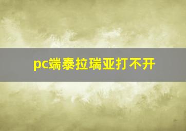 pc端泰拉瑞亚打不开