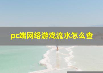 pc端网络游戏流水怎么查