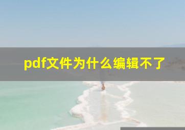 pdf文件为什么编辑不了