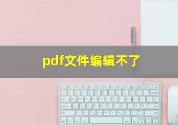 pdf文件编辑不了