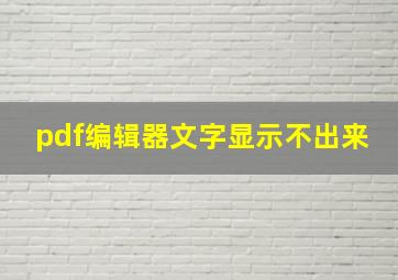 pdf编辑器文字显示不出来