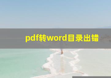 pdf转word目录出错