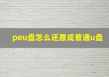 peu盘怎么还原成普通u盘