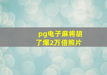 pg电子麻将胡了爆2万倍照片