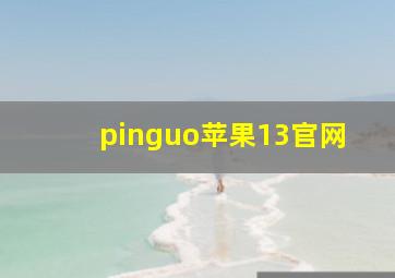 pinguo苹果13官网